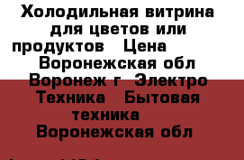 Холодильная витрина для цветов или продуктов › Цена ­ 25 000 - Воронежская обл., Воронеж г. Электро-Техника » Бытовая техника   . Воронежская обл.